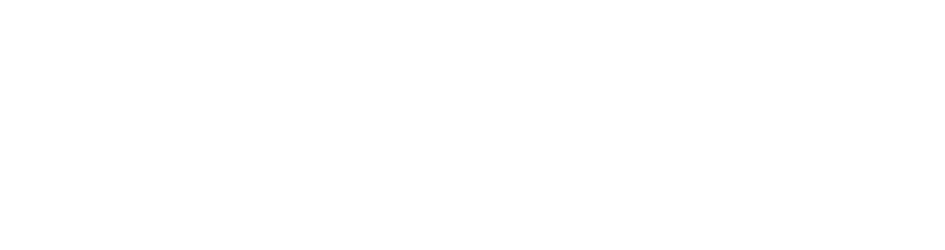 sany